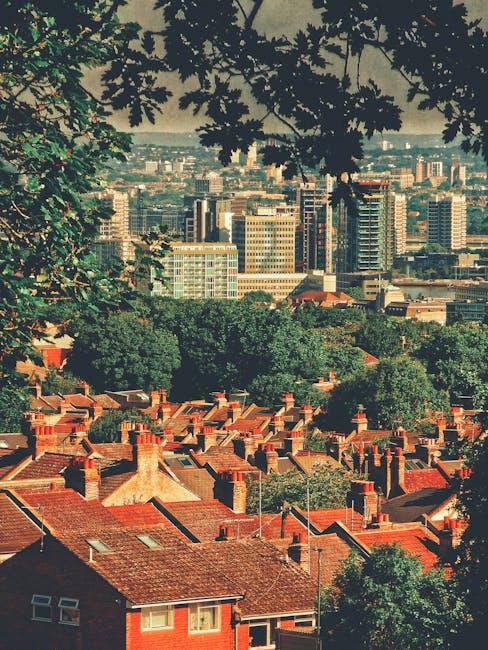 A view of a residential area with red brick houses and chimneys in the foreground, surrounded by green leafy trees. Behind the houses, there is a densely packed urban skyline with modern high-rise office buildings and apartments, indicating a city centre. Overhanging branches and leaves frame the top of the image, suggesting the photo was taken from an elevated position or vantage point. The natural lighting highlights the contrast between the older, traditional houses and the contemporary cityscape in the distance. This setting exemplifies a suburban-to-urban transition, relevant to house removals and moving services by companies like Removal Van Croydon, who manage furniture transport and home relocation processes.